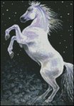 (image for) Starlight Horse Rearing